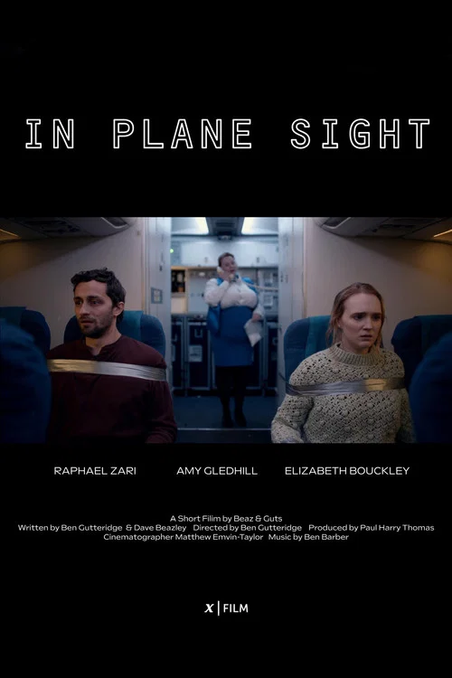 Постер: In Plane Sight