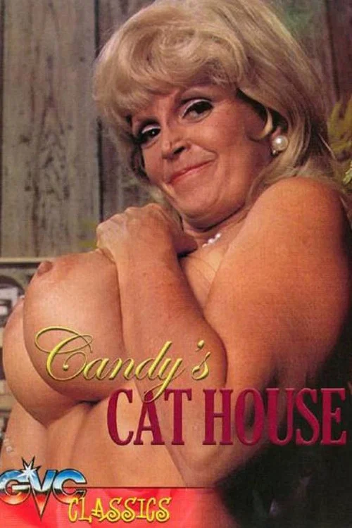 Постер: The Candy Store