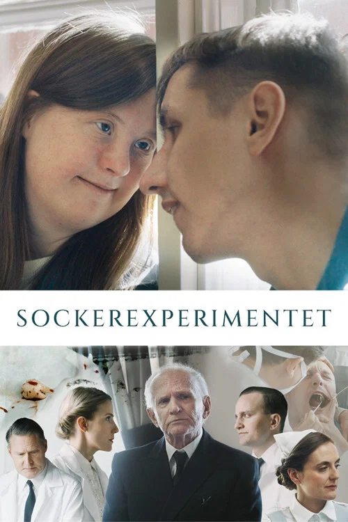Постер: Sockerexperimentet
