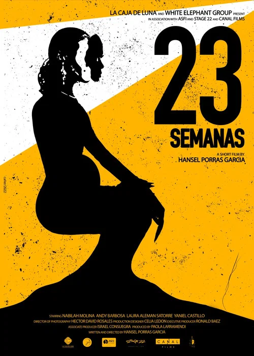Постер: 23 Semanas
