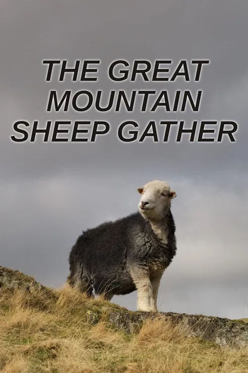 Постер: The Great Mountain Sheep Gather