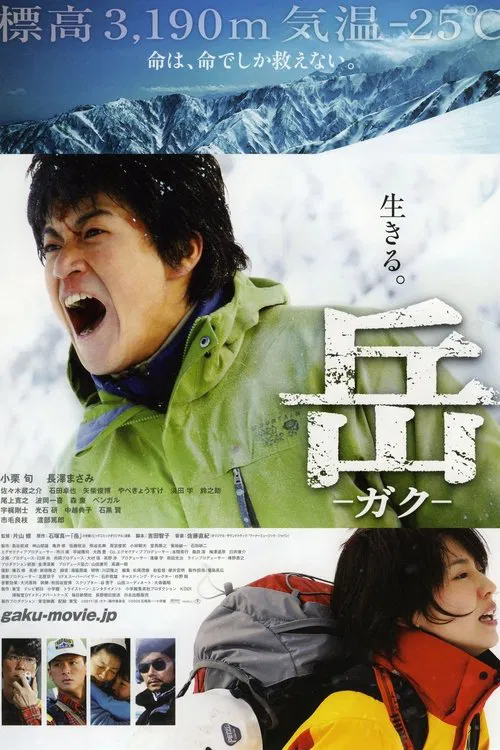 Постер: The Rescuer