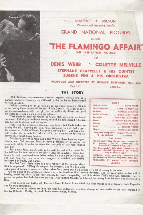 Постер: The Flamingo Affair
