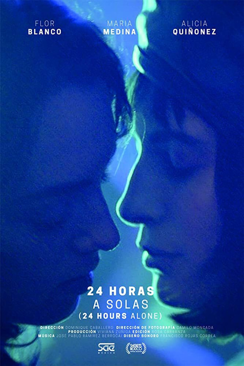 Постер: 24 horas a solas