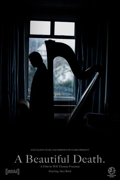 Постер: A Beautiful Death