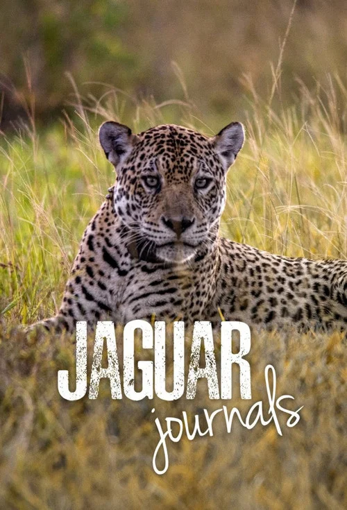 Постер: Jaguar Journals