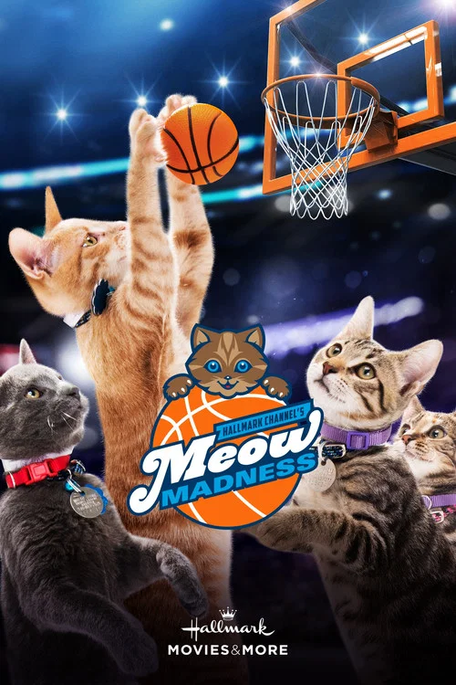 Постер: Meow Madness