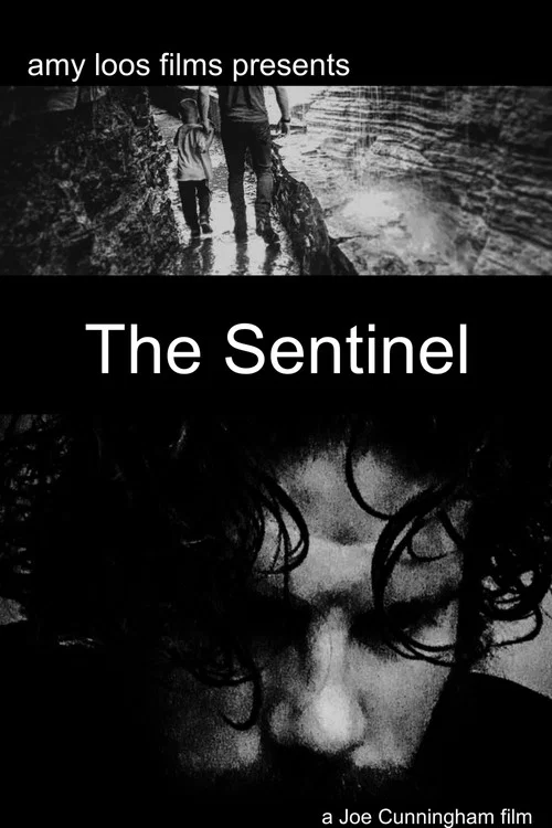 Постер: The Sentinel