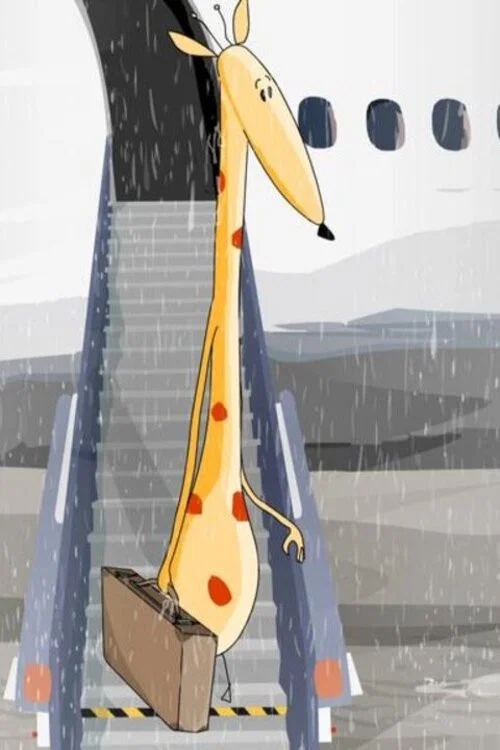Постер: Une girafe sous la pluie