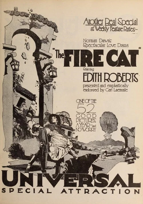 Постер: The Fire Cat