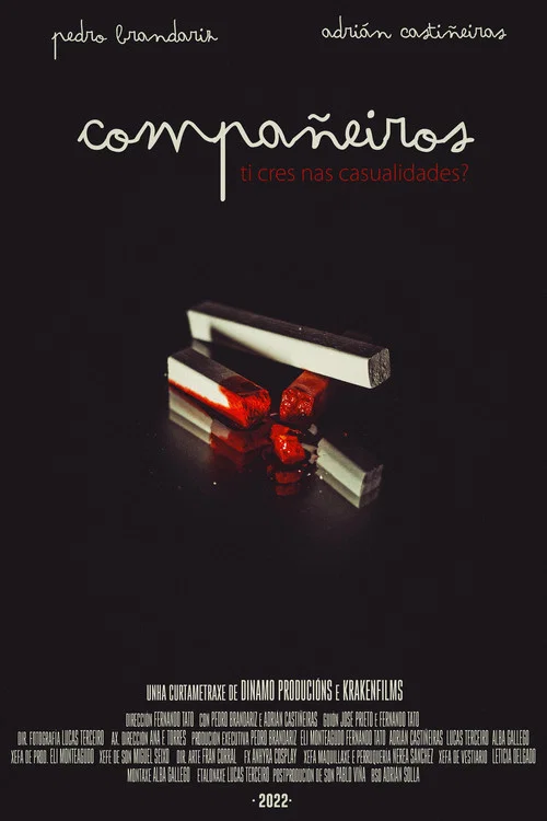 Постер: Compañeiros