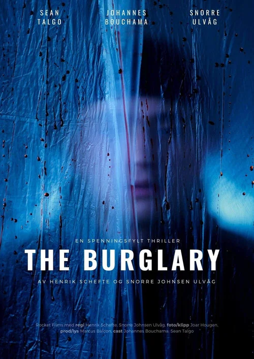 Постер: The Burglary