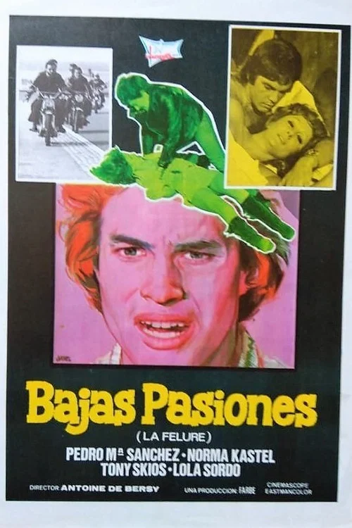 Постер: Bajas pasiones (La felure)