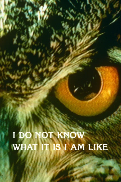 Постер: I Do Not Know What It Is I Am Like