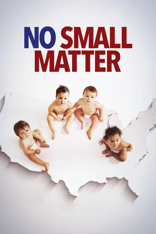 Постер: No Small Matter