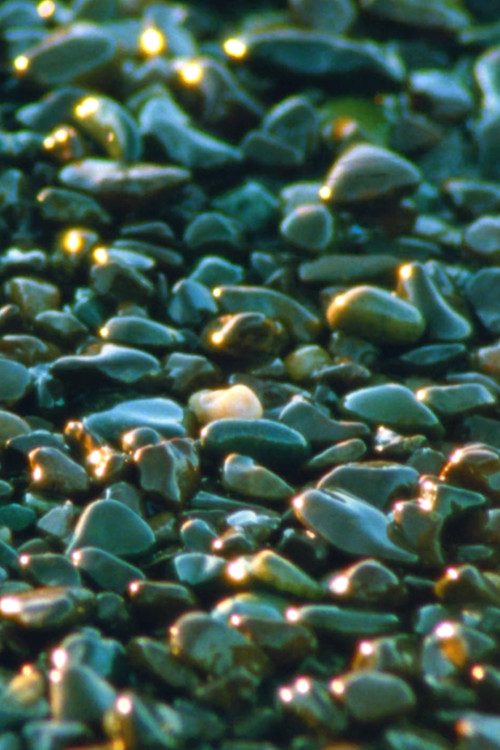 Постер: Jasper Beach and The Salt Marsh