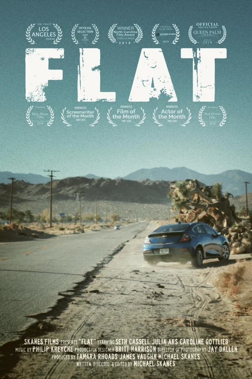 Постер: Flat