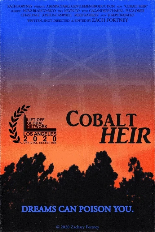 Постер: Cobalt Heir