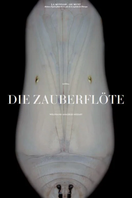 Постер: Mozart: Die Zauberflöte