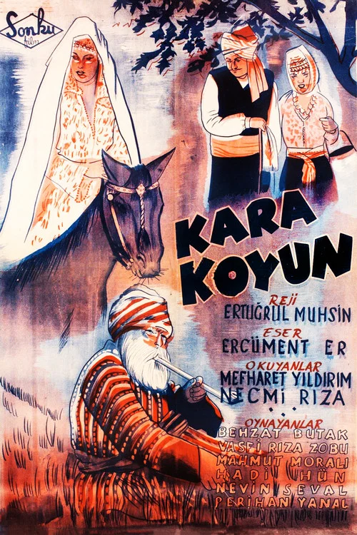 Постер: Kizilirmak karakoyun