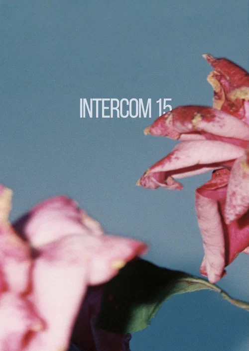 Постер: Interfon 15