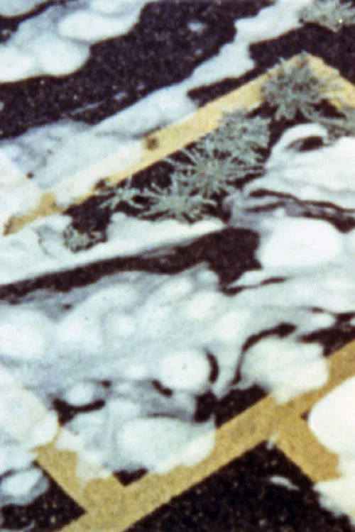 Постер: Blacktop: A Story of the Washing of a School Play Yard
