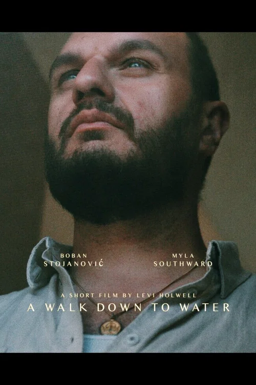 Постер: A Walk Down to Water