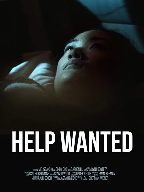 Постер: Help Wanted
