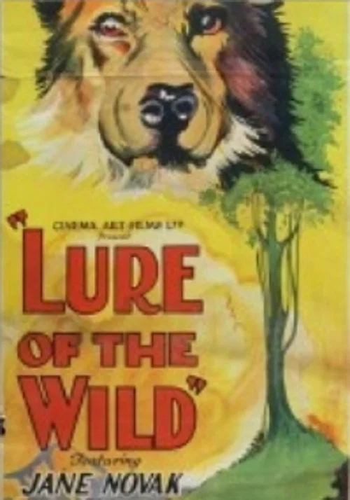 Постер: The Lure of the Wild