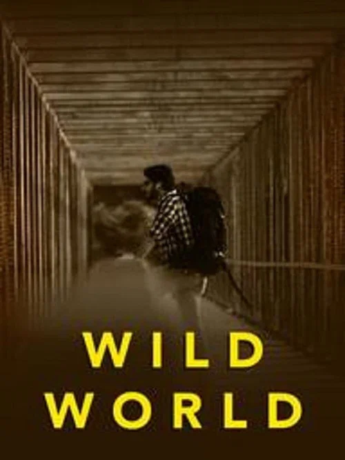 Постер: Wild World