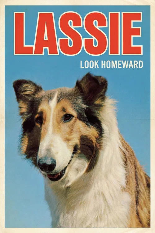 Постер: Lassie: Look Homeward