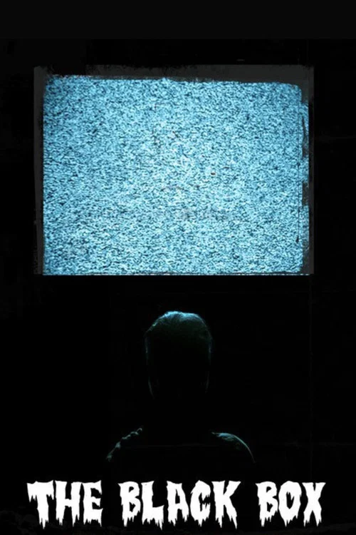 Постер: The Black Box