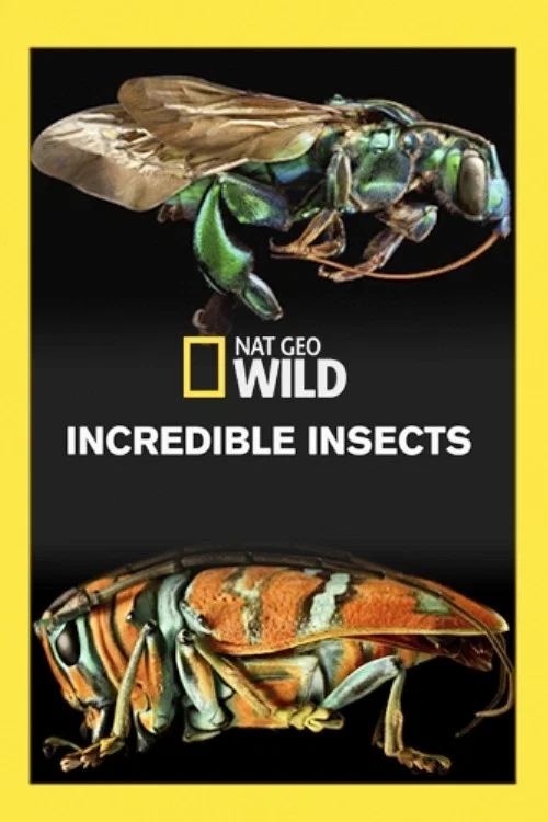 Постер: Incredible Bugs