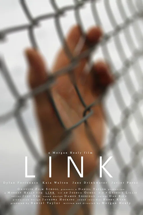 Постер: Link