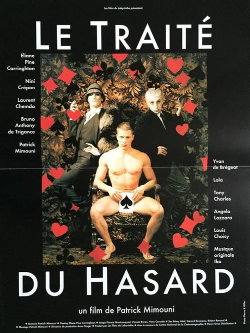 Постер: Le traité du hasard