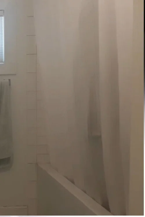 Постер: The Psycho