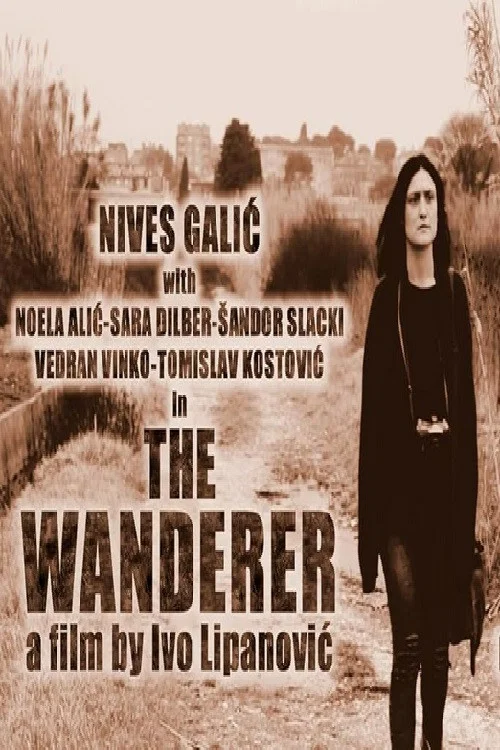 Постер: The Wanderer