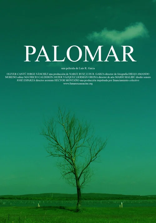 Постер: Palomar