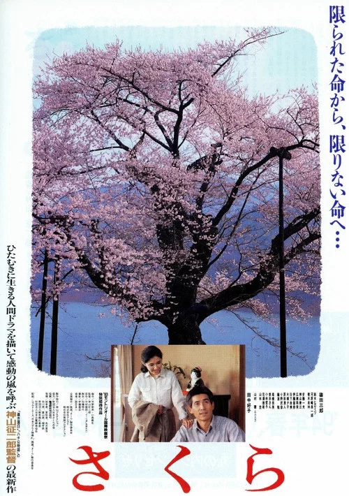Постер: Sakura