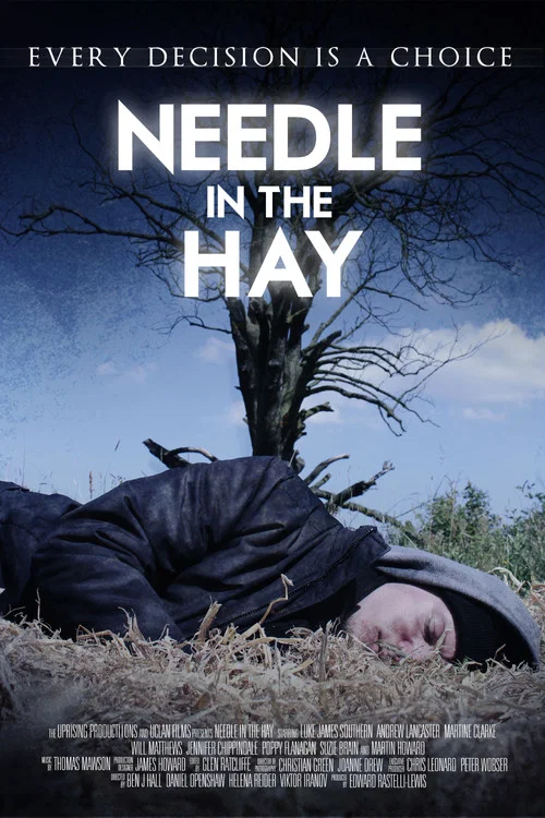Постер: Needle in the Hay