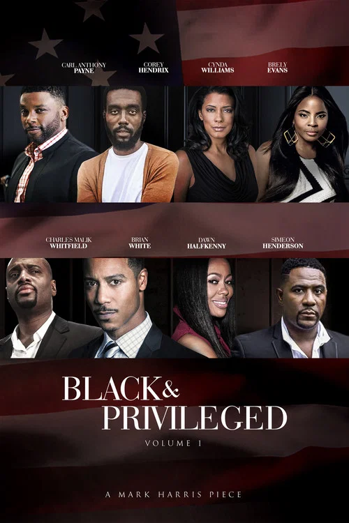 Постер: Black Privilege