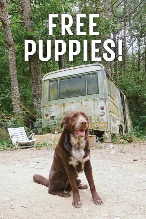 Постер: Free Puppies!