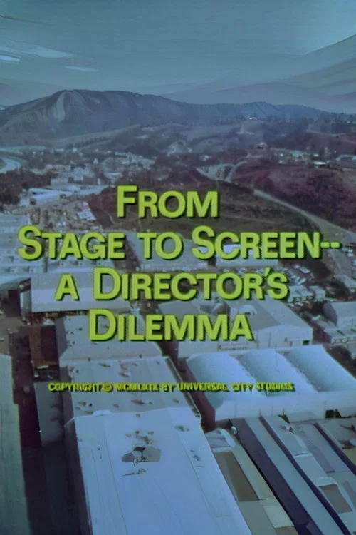 Постер: From Stage to Screen---A Director's Dilemma