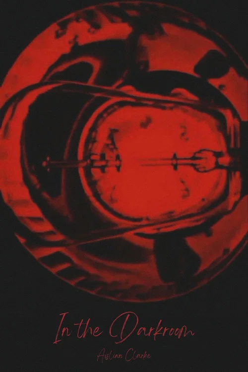 Постер: In the Darkroom