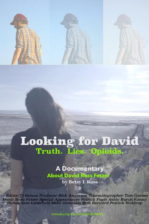 Постер: Looking for David