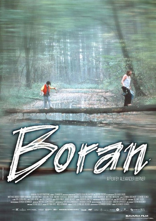 Постер: Boran