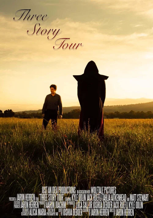 Постер: Three Story Tour
