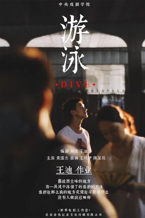 Постер: Dive