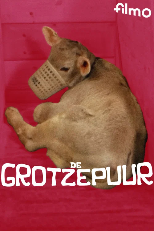 Постер: De Grotzepuur