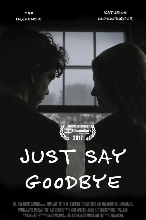 Постер: Just Say Goodbye